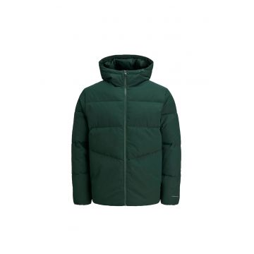 Jacheta pentru barbati -  Global - Verde - Verde