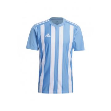 Tricou barbati -  Barbati - Polyester - Albastru/Alb - Alb/Albastru deschis