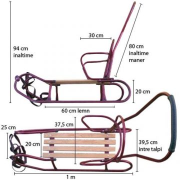 Sanie Visinie cu Spatar si Maner de Impins