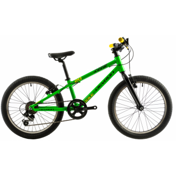 Bicicleta copii Devron Riddle K1.2 254 mm verde galben 20 inch