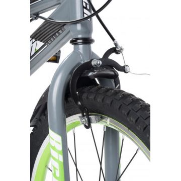 Bicicleta baieti 20 inch frane C-Brake Rich Baby R20WTB Cadru Gri cu Design Verde