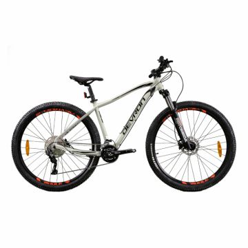 Bicicleta Mtb Devron Riddle 2023 RM3.9 - 29 Inch, M, Argintiu