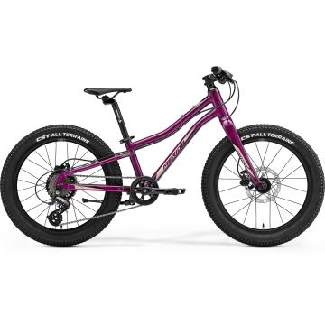 Bicicleta pentru Copii Merida Matts J.20 + Lila/Negru/Sampanie 22/23