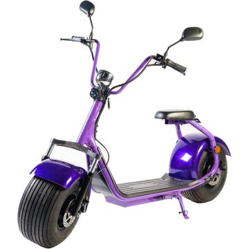 Moped electric FreeWheel City Rider, Putere motor 1000W, Mov