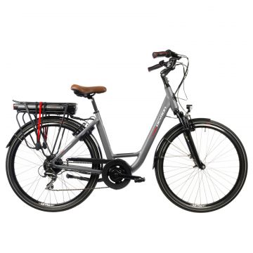 Bicicleta Electrica Devron 28220 - 28 Inch, L, Gri