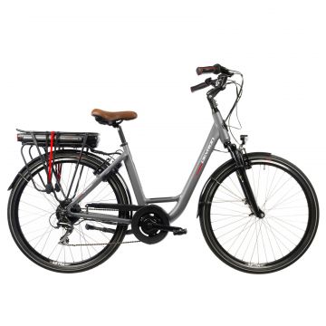 Bicicleta Electrica Devron 28220 - 28 Inch, S, Gri