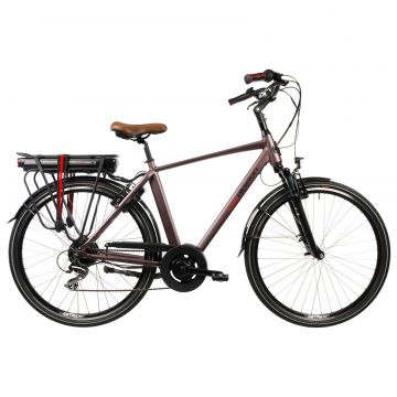 Bicicleta Electrica Devron 28221 - 28 Inch, L, Maro