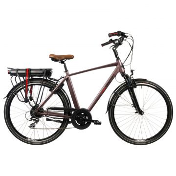 Bicicleta Electrica Devron 28221 - 28 Inch, XL, Maro