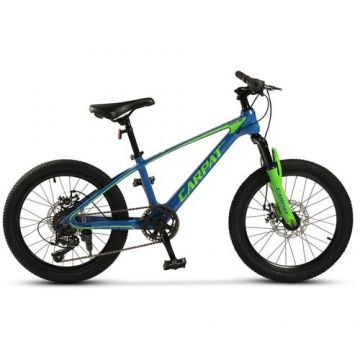 ﻿﻿Bicicleta Copii MTB Carpat Hiro C20342A, roti 20inch, Albastru/Verde