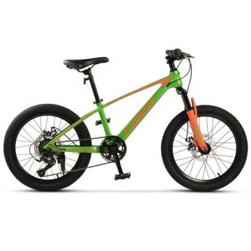 ﻿﻿Bicicleta Copii MTB Carpat Hiro C20342A, roti 20inch, Verde/Portocaliu
