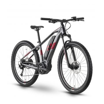 Bicicleta Electrica Raymon HardRay E 3.0 - 29 Inch, L, Gri-Rosu