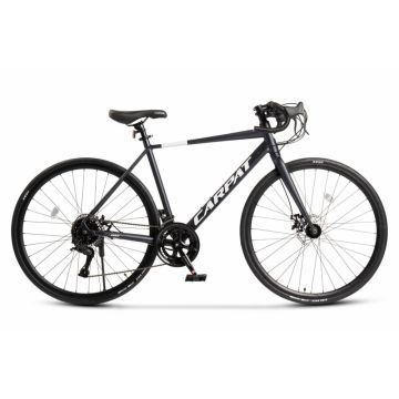 Bicicleta CursieraCyclocross Carpat Adv C28320RG AlbastruAlb, roti 28 inch, aluminiu 16 viteze, echipare A3-LTW00, frane disc, cabluri integrate