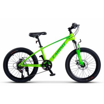 Bicicleta pentru copii MTB Carpat Hiro C20342A Verde, roti 20 inch, inaltime utilizator 120-155 cm, greutate suportata 80 kg