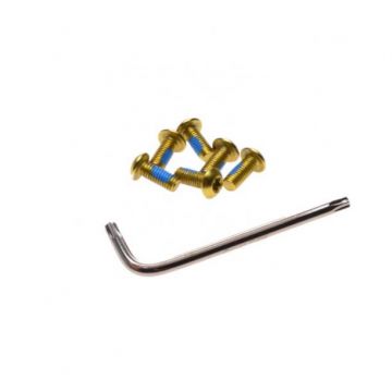 Set 6 suruburi disc frana biciclete, Unex, culoare auriu