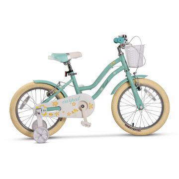 Bicicleta pentru copii 4-6 ani Carpat C16178A Turcoaz 16 inch