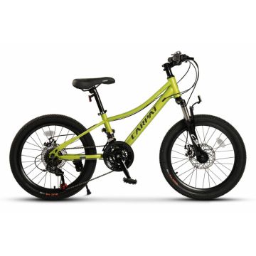 Bicicleta pentru copii 7-10 ani Carpat Polestar C20261A Verde, 21 viteze, frane pe disc, roti 20 inch, cabluri integrate