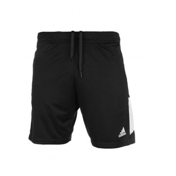 Pantaloni scurti barbati -  Poliester - Negruaqz - Negru