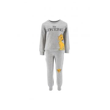 Trening baieti Lion King 10010 - Gri