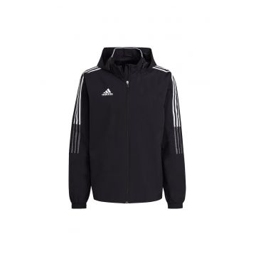 barbati -  Negru - 68465 - Negru