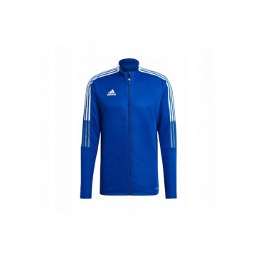 Bluza trening barbati -  Poliester - Albastru/Alb - Alb/Albastru deschis