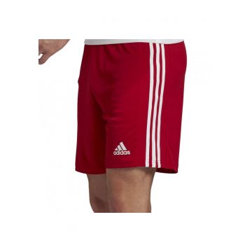 Pantaloni  Squadra 21 barbati - Rosu