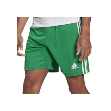 Pantaloni  Squadra 21 barbati - Verde