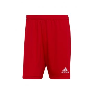 Pantaloni barbati -  33045 - Rosu