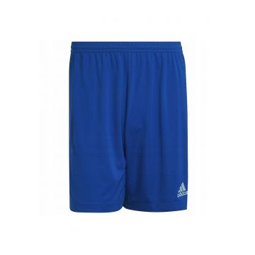 Pantaloni sport barbati - Entrada 22 -  Poliester -Albastru - Albastru
