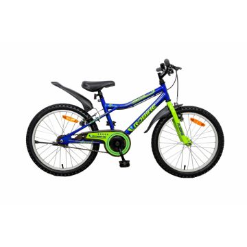 Bicicleta copii Robike Racer 20 Albastru Verde