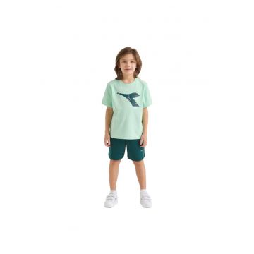 Essential Sports verde - set - Verde