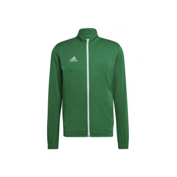 Entrada 22 -  Verde - Verde