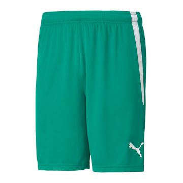 Pantaloni scurti pentru fotbal teamLIGA - Verde