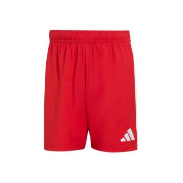 Pantaloni sport barbati -  Tastigo 25 - scurti - rosu