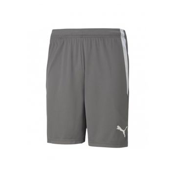 Pantaloni sport barbati -  Teamliga - gri