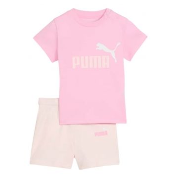 Set  Minicats Essentials INF 60701 - Roz