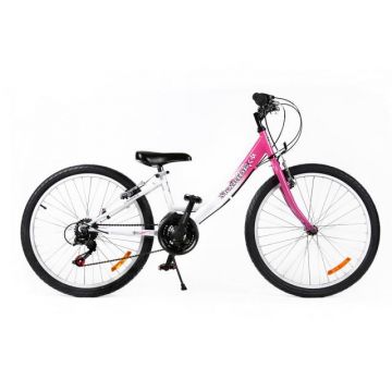 Bicicleta MTB Passati Skyride 24