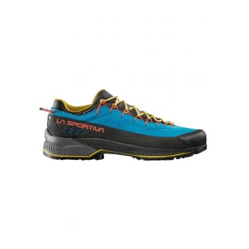 Pantofi trekking barbati  TX4 Evo GTX